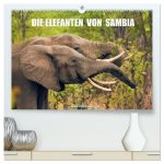 Die Elefanten von Sambia (hochwertiger Premium Wandkalender 2025 DIN A2 quer), Kunstdruck in Hochglanz
