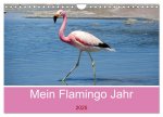Mein Flamingo Jahr (Wandkalender 2025 DIN A4 quer), CALVENDO Monatskalender