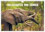 Die Elefanten von Sambia (Wandkalender 2025 DIN A4 quer), CALVENDO Monatskalender