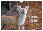 Freche Füchse - lustige Sprüche (Wandkalender 2025 DIN A4 quer), CALVENDO Monatskalender