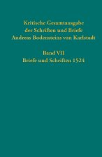 Kritische Gesamtausgabe der Schriften und Briefe Andreas Bodensteins von Karlstadt