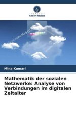 Mathematik der sozialen Netzwerke: Analyse von Verbindungen im digitalen Zeitalter