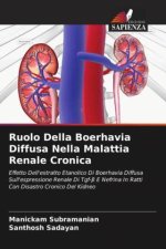 Ruolo Della Boerhavia Diffusa Nella Malattia Renale Cronica
