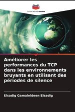 Améliorer les performances du TCP dans les environnements bruyants en utilisant des périodes de silence