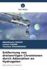 Entfernung von dreiwertigen Chromionen durch Adsorption an Hydrogelen