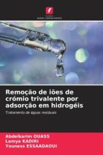 Remoç?o de i?es de crómio trivalente por adsorç?o em hidrogéis
