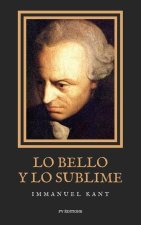 Lo bello y lo sublime