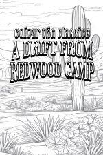 A Drift from Redwood Camp