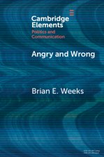The Emotional Dynamics of Partisan Media and Political Misperceptions
