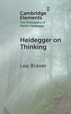 Heidegger on Thinking