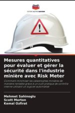 Mesures quantitatives pour évaluer et gérer la sécurité dans l'industrie minière avec Risk Meter
