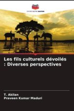 Les fils culturels dévoilés : Diverses perspectives