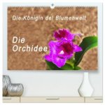 Die Königin der Blumenwelt, die Orchidee (hochwertiger Premium Wandkalender 2025 DIN A2 quer), Kunstdruck in Hochglanz