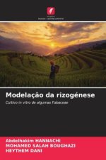 Modelação da rizogénese