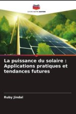 La puissance du solaire : Applications pratiques et tendances futures