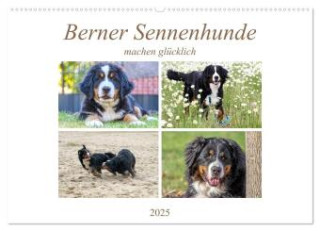 Berner Sennenhunde machen glücklich (Wandkalender 2025 DIN A2 quer), CALVENDO Monatskalender