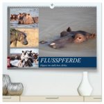 Hippos im südlichen Afrika (hochwertiger Premium Wandkalender 2025 DIN A2 quer), Kunstdruck in Hochglanz