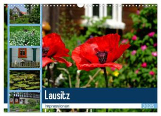 Lausitz bis Spreewald (Wandkalender 2025 DIN A3 quer), CALVENDO Monatskalender