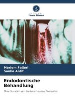 Endodontische Behandlung