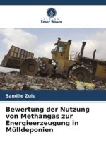 Bewertung der Nutzung von Methangas zur Energieerzeugung in Mülldeponien