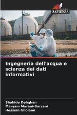 Ingegneria dell'acqua e scienza dei dati informativi