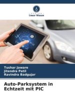 Auto-Parksystem in Echtzeit mit PIC