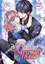 HEALER FOR THE SHADOW HERO V03