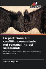 La partizione e il conflitto comunitario nei romanzi inglesi selezionati