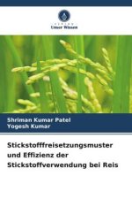 Stickstofffreisetzungsmuster und Effizienz der Stickstoffverwendung bei Reis