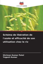 Schéma de libération de l'azote et efficacité de son utilisation chez le riz