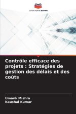 Contrôle efficace des projets : Stratégies de gestion des délais et des coûts