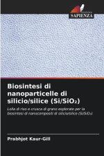 Biosintesi di nanoparticelle di silicio/silice (Si/SiO2)