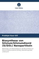 Biosynthese von Silizium/Siliziumdioxid (Si/SiO2) Nanopartikeln