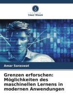 Grenzen erforschen: Möglichkeiten des maschinellen Lernens in modernen Anwendungen