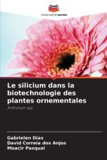 Le silicium dans la biotechnologie des plantes ornementales