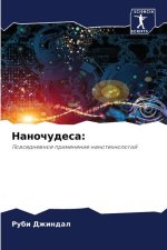 Nanochudesa: