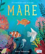 Mare. Uno straordinario mondo tra le onde