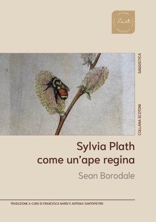 Sylvia Plath. Come un'ape regina (Sean Borodale)(Brožovaná)