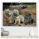 Cairns Forever (hochwertiger Premium Wandkalender 2025 DIN A2 quer), Kunstdruck in Hochglanz