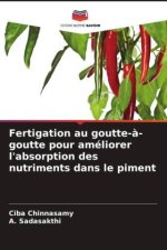 Fertigation au goutte-?-goutte pour améliorer l'absorption des nutriments dans le piment