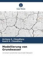 Modellierung von Grundwasser