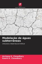 Modelaç?o de águas subterrâneas