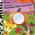 Mirror Board Book Baby Einstein Peekaboo! Who Are You?