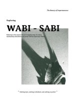 Exploring Wabi-Sabi