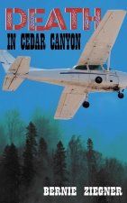 Death in Cedar Canyon