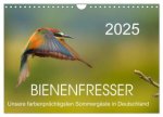 Bienenfresser, unsere farbenprächtigsten Sommergäste in Deutschland (Wandkalender 2025 DIN A4 quer), CALVENDO Monatskalender