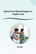 Spinal Cord Blood Supply:  In-Depth Look