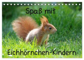 Spaß mit Eichhörnchen-Kindern (Tischkalender 2025 DIN A5 quer), CALVENDO Monatskalender