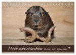Meerschweinchen - Kleine süße Fellnasen (Tischkalender 2025 DIN A5 quer), CALVENDO Monatskalender