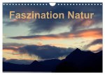 Fasziantion Natur (Wandkalender 2025 DIN A4 quer), CALVENDO Monatskalender